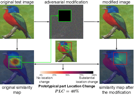 Figure 3 for Interpretability Benchmark for Evaluating Spatial Misalignment of Prototypical Parts Explanations