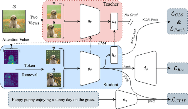 Figure 3 for DetailCLIP: Detail-Oriented CLIP for Fine-Grained Tasks