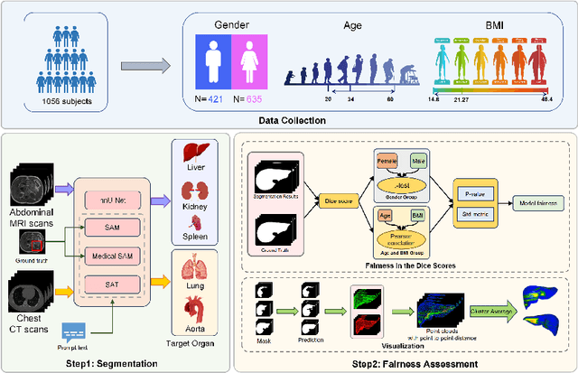 Figure 1 for An Empirical Study on the Fairness of Foundation Models for Multi-Organ Image Segmentation