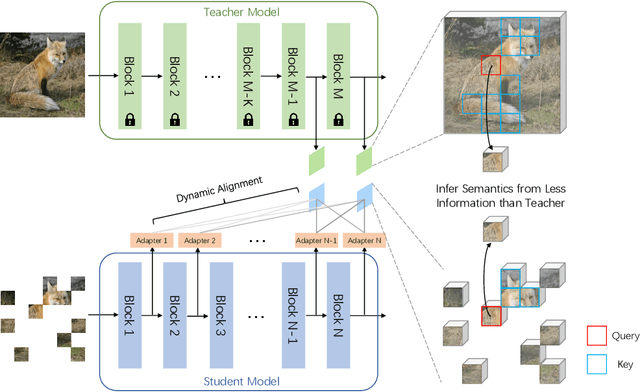 Figure 3 for Stare at What You See: Masked Image Modeling without Reconstruction