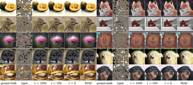 Figure 3 for Diffusion Models as Masked Autoencoders