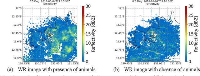 Figure 1 for Detection of Animal Movement from Weather Radar using Self-Supervised Learning