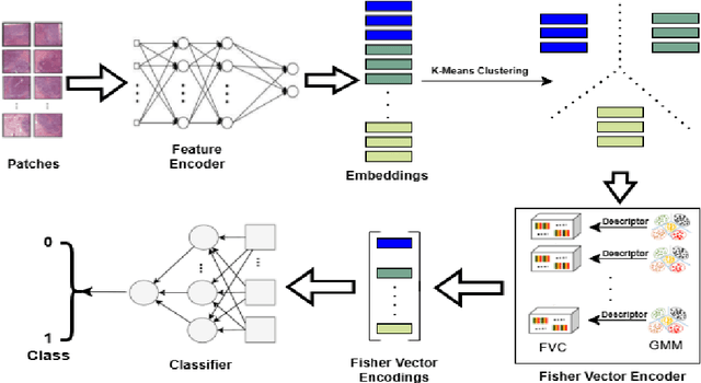 Figure 1 for Scalable Whole Slide Image Representation Using K-Mean Clustering and Fisher Vector Aggregation