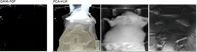 Figure 1 for Safeguarding Generative AI Applications in Preclinical Imaging through Hybrid Anomaly Detection