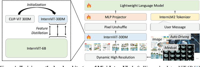 Figure 1 for Mini-InternVL: A Flexible-Transfer Pocket Multimodal Model with 5% Parameters and 90% Performance