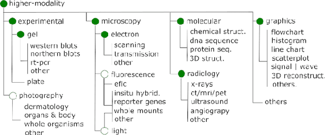 Figure 1 for BI-LAVA: Biocuration with Hierarchical Image Labeling through Active Learning and Visual Analysis