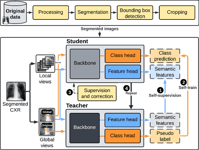 Figure 3 for Empowering Tuberculosis Screening with Explainable Self-Supervised Deep Neural Networks