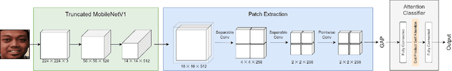 Figure 1 for PAtt-Lite: Lightweight Patch and Attention MobileNet for Challenging Facial Expression Recognition