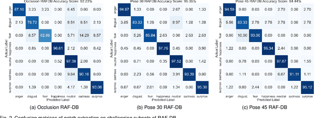 Figure 4 for PAtt-Lite: Lightweight Patch and Attention MobileNet for Challenging Facial Expression Recognition