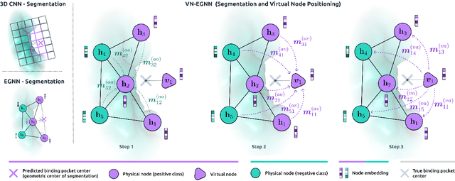 Figure 1 for VN-EGNN: E-Equivariant Graph Neural Networks with Virtual Nodes Enhance Protein Binding Site Identification