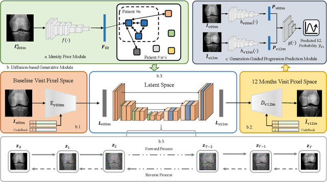 Figure 3 for Identity-Consistent Diffusion Network for Grading Knee Osteoarthritis Progression in Radiographic Imaging