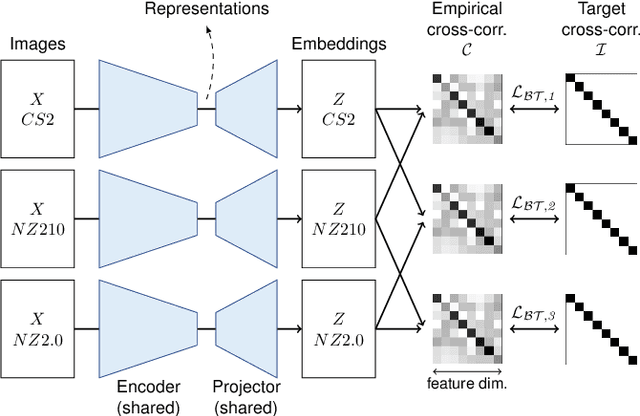 Figure 3 for Mind the Gap: Scanner-induced domain shifts pose challenges for representation learning in histopathology