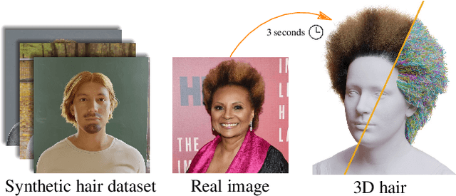 Figure 1 for DiffLocks: Generating 3D Hair from a Single Image using Diffusion Models