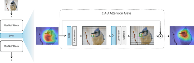 Figure 1 for DAS: A Deformable Attention to Capture Salient Information in CNNs