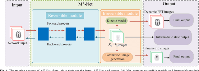 Figure 1 for Dynamic PET Image Prediction Using a Network Combining Reversible and Irreversible Modules