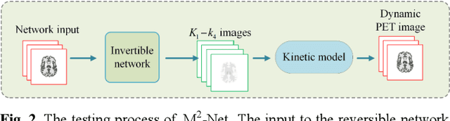 Figure 3 for Dynamic PET Image Prediction Using a Network Combining Reversible and Irreversible Modules