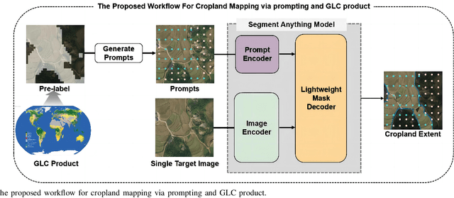 Figure 2 for Using Global Land Cover Product as Prompt for Cropland Mapping via Visual Foundation Model