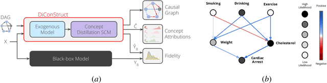 Figure 1 for DiConStruct: Causal Concept-based Explanations through Black-Box Distillation