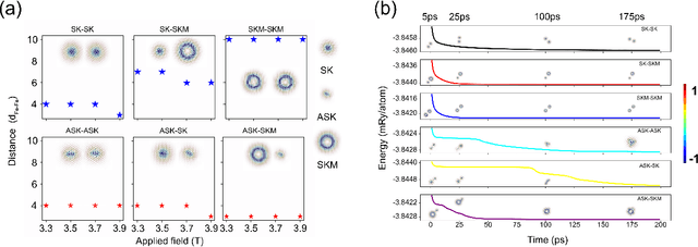 Figure 1 for Design of 2D Skyrmionic Metamaterial Through Controlled Assembly