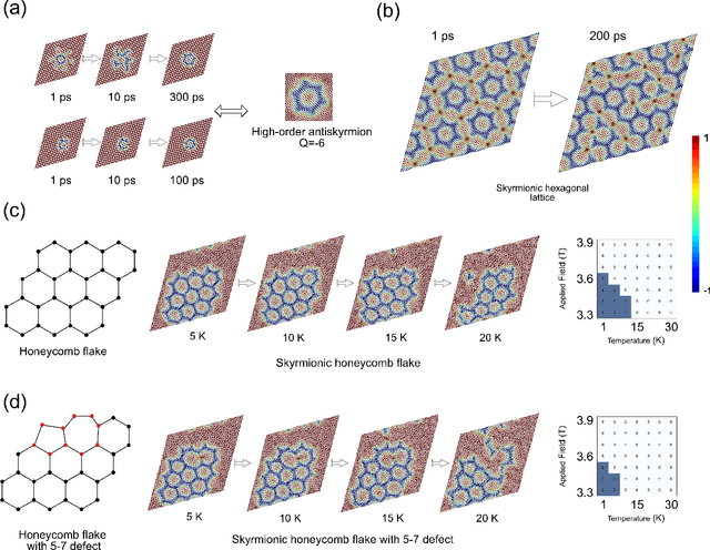 Figure 3 for Design of 2D Skyrmionic Metamaterial Through Controlled Assembly