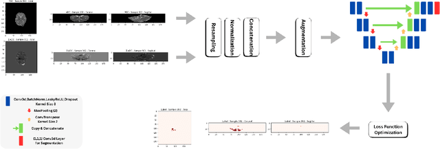 Figure 1 for Multimodal HIE Lesion Segmentation in Neonates: A Comparative Study of Loss Functions
