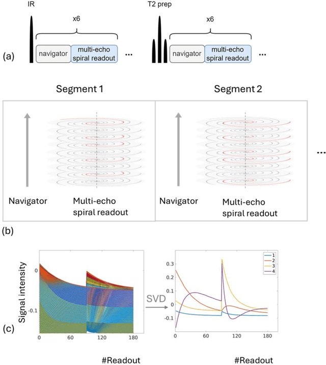 Figure 1 for Implicit neural representation for free-breathing MR fingerprinting (INR-MRF): co-registered 3D whole-liver water T1, water T2, proton density fat fraction, and R2* mapping