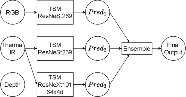 Figure 1 for Action Recognition Using Temporal Shift Module and Ensemble Learning