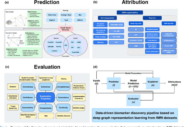 Figure 1 for Discovering robust biomarkers of neurological disorders from functional MRI using graph neural networks: A Review