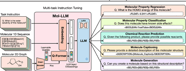 Figure 3 for Mol-LLM: Generalist Molecular LLM with Improved Graph Utilization