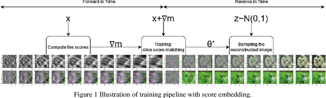 Figure 1 for Efficient Denoising using Score Embedding in Score-based Diffusion Models