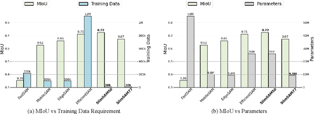 Figure 1 for 0.1% Data Makes Segment Anything Slim
