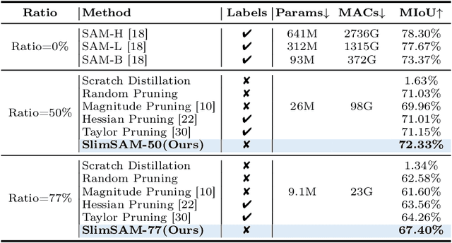 Figure 4 for 0.1% Data Makes Segment Anything Slim