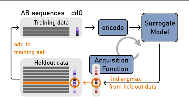 Figure 2 for Active learning for affinity prediction of antibodies