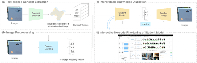 Figure 1 for InFiConD: Interactive No-code Fine-tuning with Concept-based Knowledge Distillation