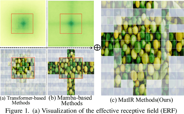 Figure 1 for MatIR: A Hybrid Mamba-Transformer Image Restoration Model
