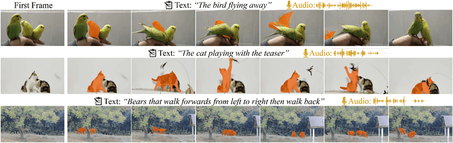 Figure 1 for MeViS: A Multi-Modal Dataset for Referring Motion Expression Video Segmentation
