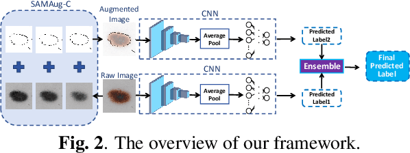 Figure 3 for Boosting Medical Image Classification with Segmentation Foundation Model