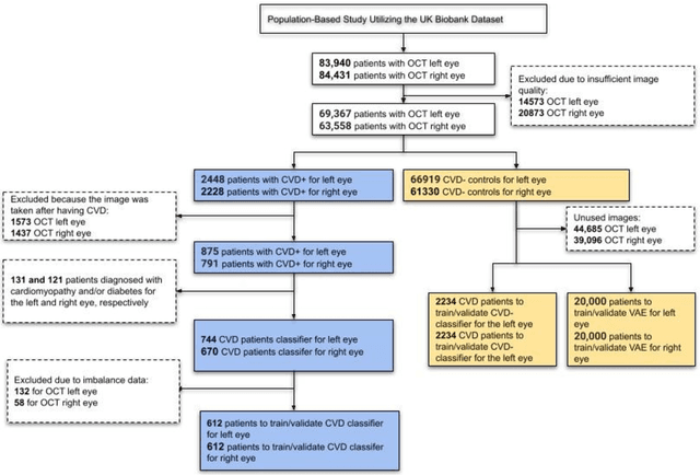 Figure 1 for Predicting risk of cardiovascular disease using retinal OCT imaging