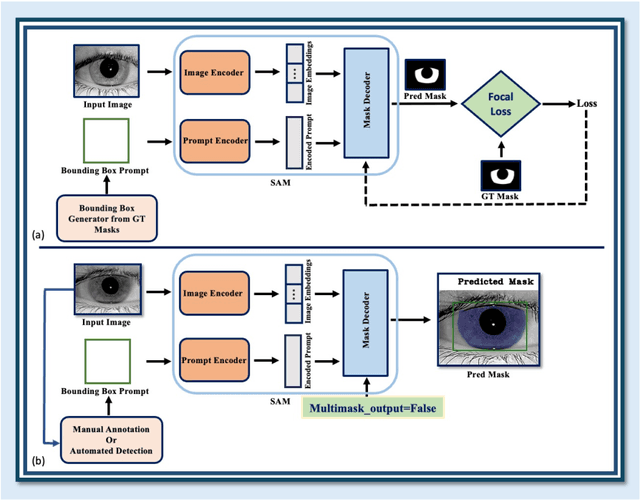 Figure 2 for Iris-SAM: Iris Segmentation Using a Foundational Model
