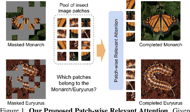 Figure 1 for Insect-Foundation: A Foundation Model and Large-scale 1M Dataset for Visual Insect Understanding