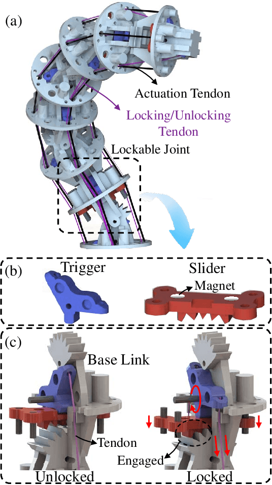 Figure 1 for Reconfigurable Tendon-Driven Robots: Eliminating Inter-segmental Coupling via Independently Lockable Joints