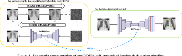 Figure 1 for Self-supervised pre-training with diffusion model for few-shot landmark detection in x-ray images