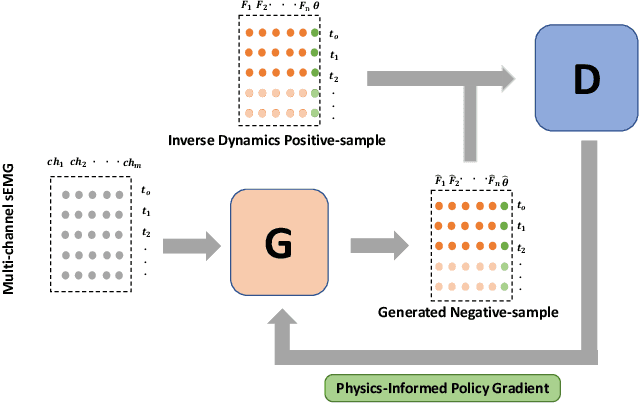 Figure 1 for A Physics-Informed Low-Shot Learning For sEMG-Based Estimation of Muscle Force and Joint Kinematics