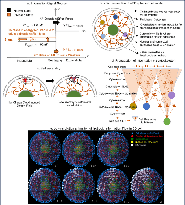 Figure 1 for Modeling non-genetic information dynamics in cells using reservoir computing