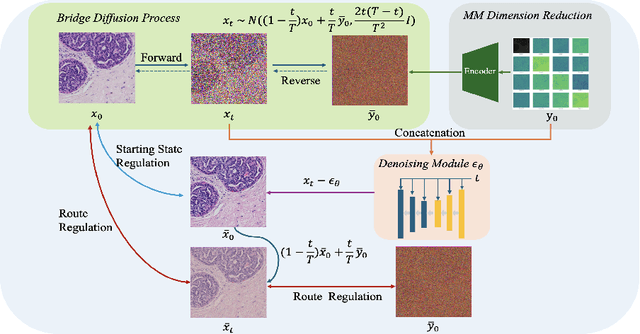 Figure 2 for Diffusion-based Virtual Staining from Polarimetric Mueller Matrix Imaging