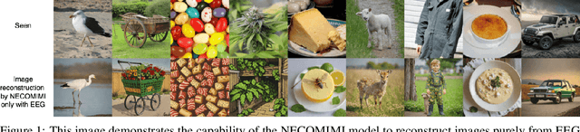 Figure 1 for NECOMIMI: Neural-Cognitive Multimodal EEG-informed Image Generation with Diffusion Models