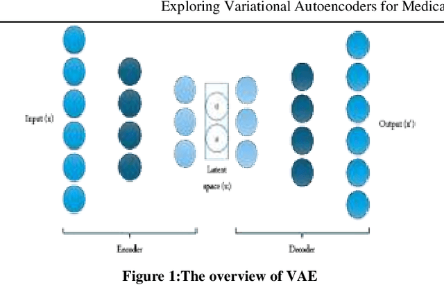 Figure 1 for Exploring Variational Autoencoders for Medical Image Generation: A Comprehensive Study