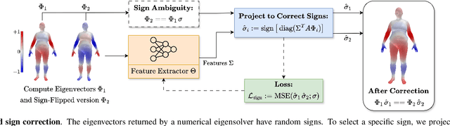 Figure 2 for Denoising Functional Maps: Diffusion Models for Shape Correspondence