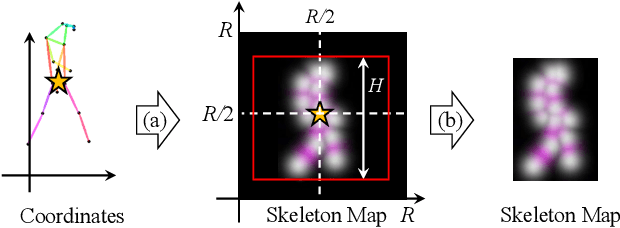 Figure 3 for SkeletonGait: Gait Recognition Using Skeleton Maps