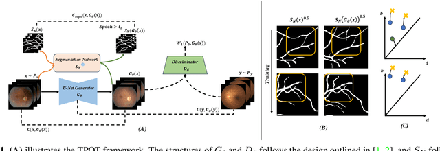 Figure 1 for TPOT: Topology Preserving Optimal Transport in Retinal Fundus Image Enhancement